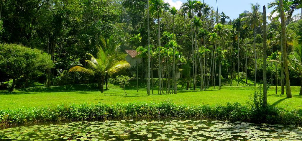 Siri Wedamadura Villa ウェリガマ 部屋 写真
